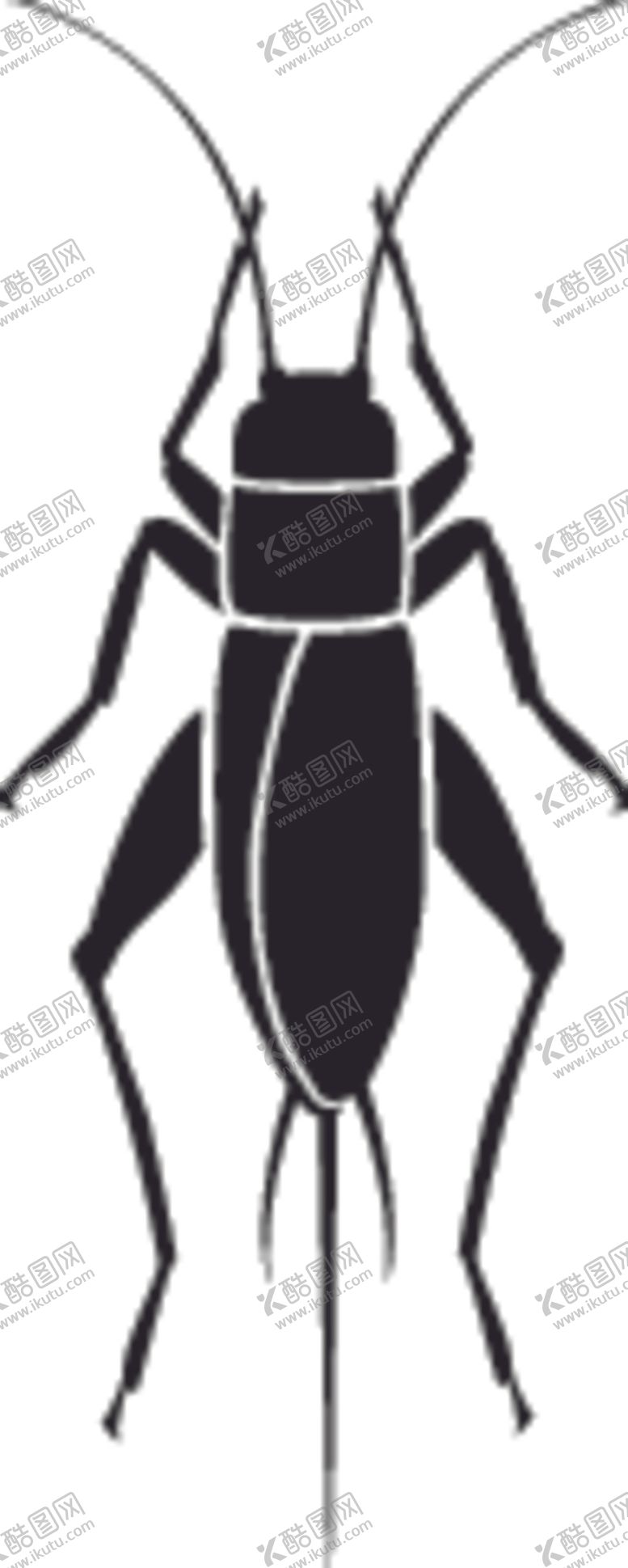 编号：25950510290525161895【酷图网】源文件下载-昆虫系列蟋蟀