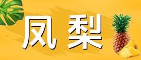 凤梨标签