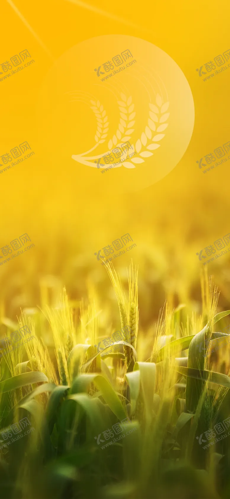 编号：23120605060258412924【酷图网】源文件下载-节气刷屏背景