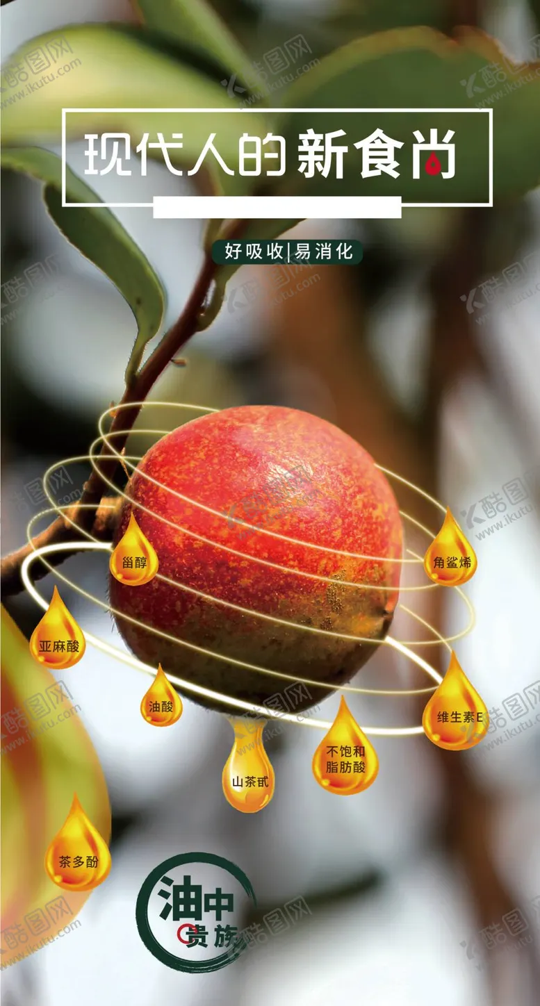 编号：26047110111900102593【酷图网】源文件下载-山茶油 