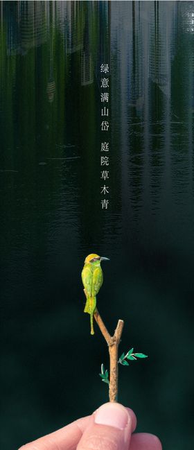 植树节