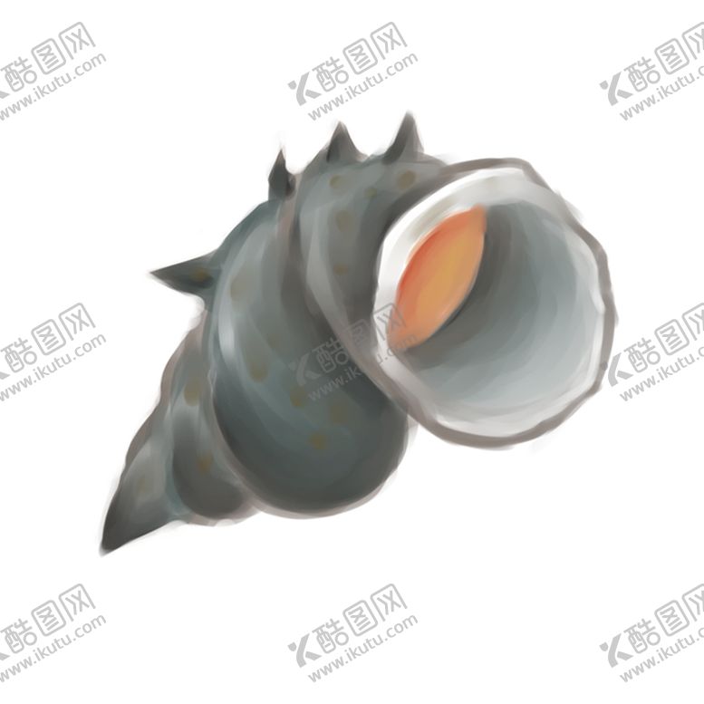 编号：80395109250606445491【酷图网】源文件下载-手绘海螺