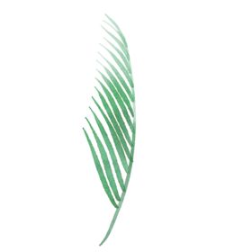 绿色水彩植物树叶