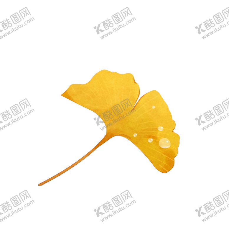 编号：41880104181525358742【酷图网】源文件下载-秋天银杏叶