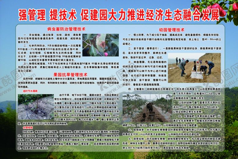 编号：31007310131531428409【酷图网】源文件下载-专业化果园管理种植技术知识