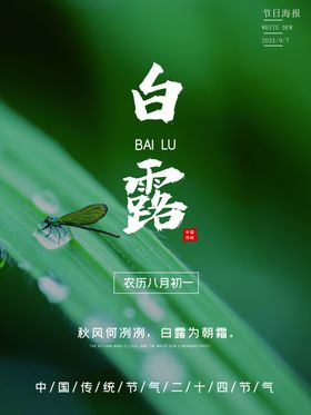 白露海报鹭吊旗