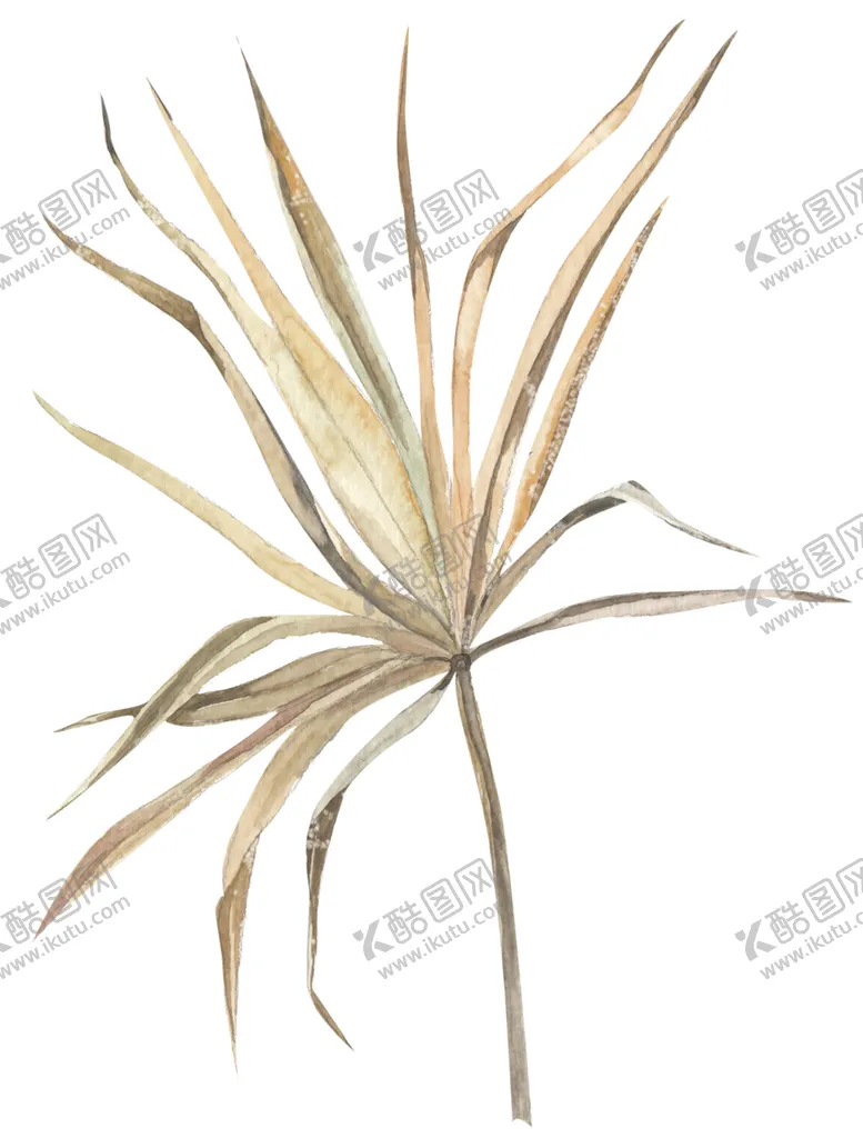 编号：99689006231436133801【酷图网】源文件下载-北欧小清新水彩植物图案