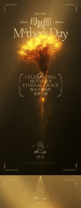 母亲节康乃馨海报