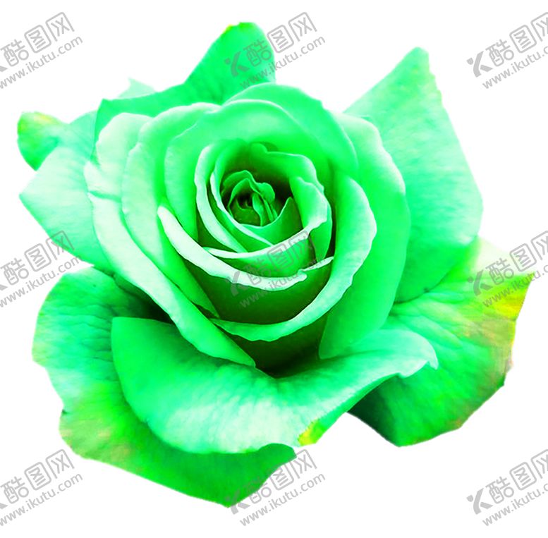 编号：29275009231625369177【酷图网】源文件下载-浪漫素材