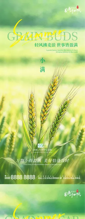 地产小满芒种二十节气手机刷屏系列海报