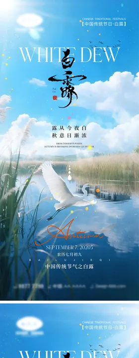 白露节气系列海报