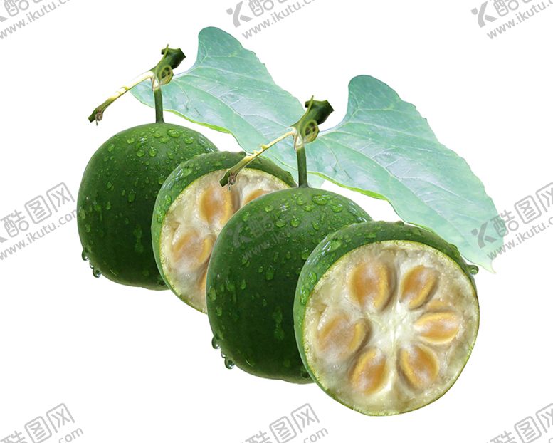 编号：28892009100228093872【酷图网】源文件下载-水果