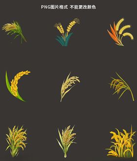 稻穗素材