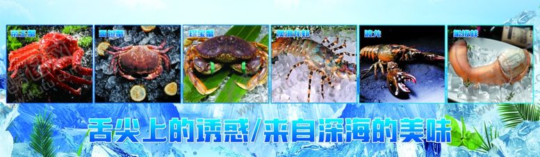 编号：51644211281826246459【酷图网】源文件下载-海鲜