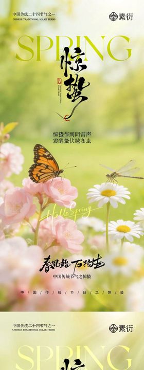 地产惊蛰花朵摄影系列海报