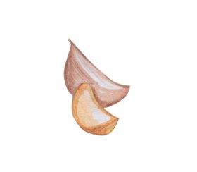 手绘彩色蔬菜免扣素材图片有机餐饮姜健康