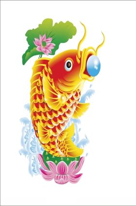 鲤鱼