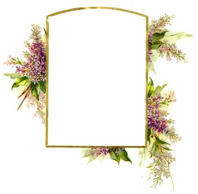 手绘花朵无色花卉框架