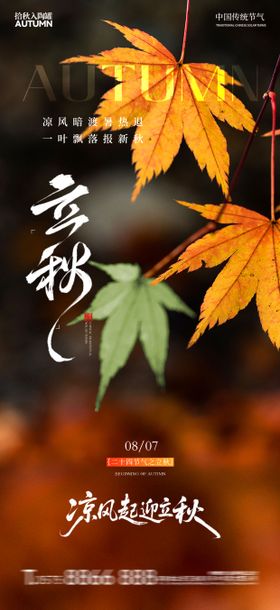 地产立秋节气海报