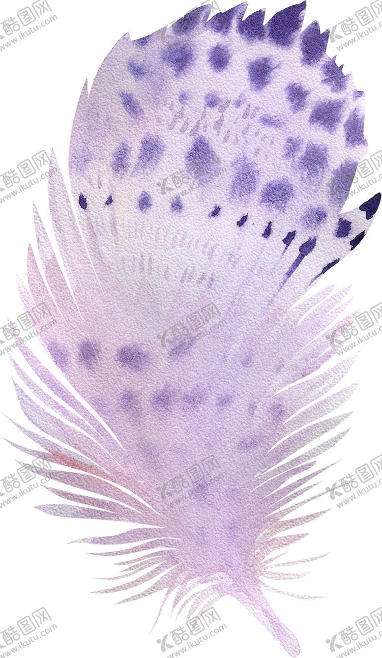编号：55149509131013398406【酷图网】源文件下载-水彩创意羽毛图案