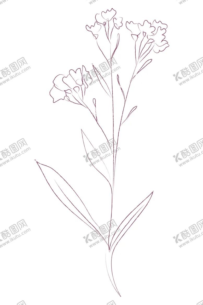 编号：71546206301517023088【酷图网】源文件下载-植物手绘水彩