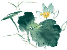 中国风水墨荷花创意宣传封面