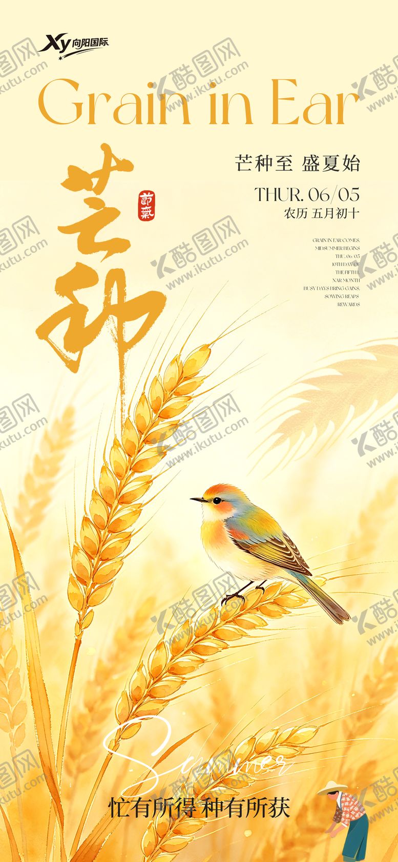 编号：38800905312340312036【酷图网】源文件下载-二十四节气芒种海报