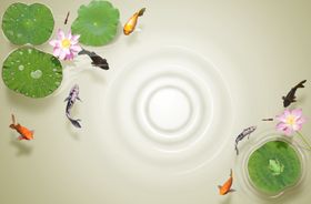 水纹荷叶