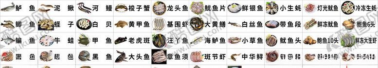 编号：47274606190311233213【酷图网】源文件下载-水产品名