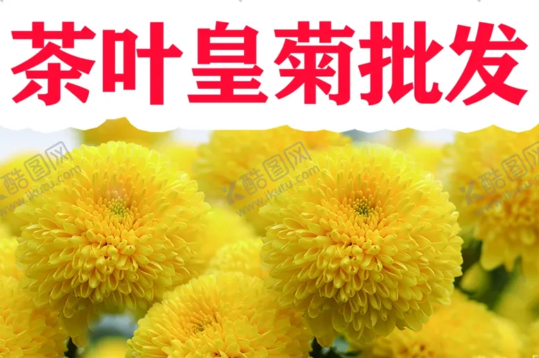 编号：24468601260151427143【酷图网】源文件下载-琴行