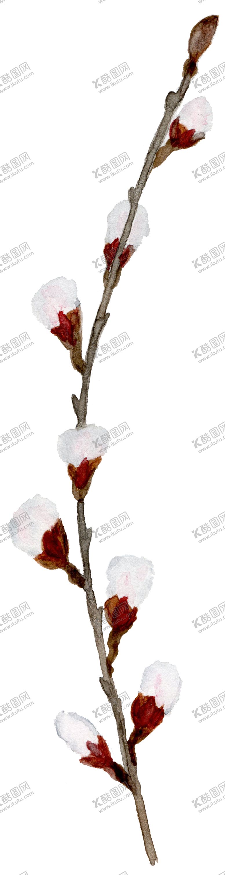 编号：56870401132039597975【酷图网】源文件下载-手绘树叶