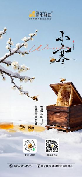 小寒蜂产业海报
