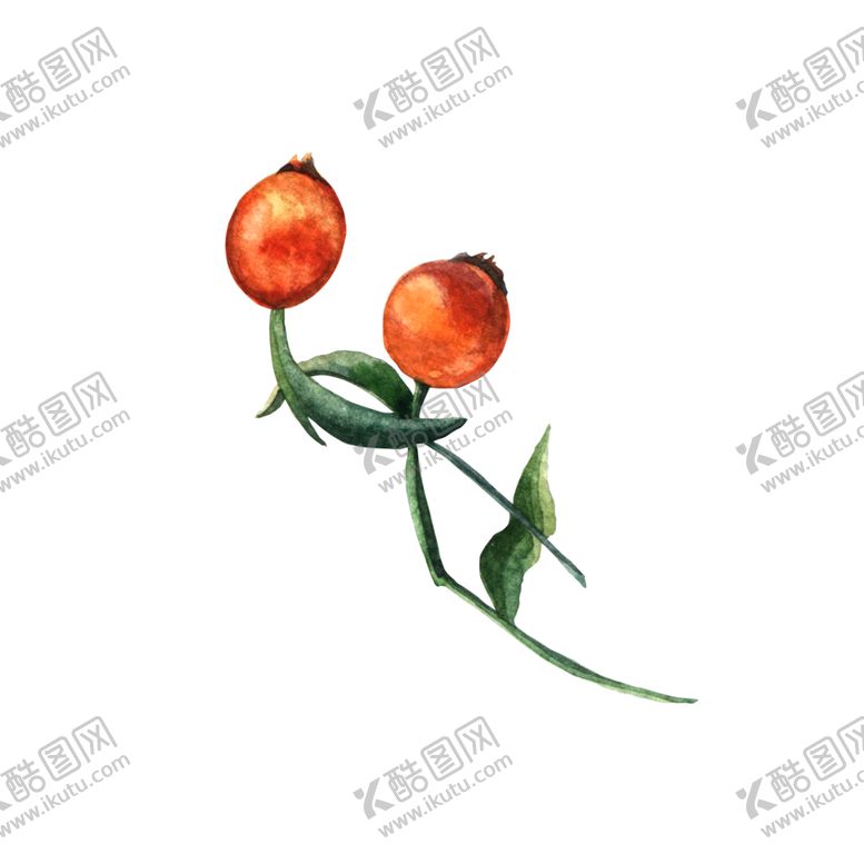 编号：11876206242057349481【酷图网】源文件下载-北欧手绘插画