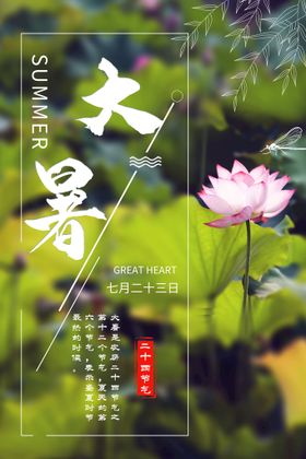 24节气之大暑海报设计图片单处氛