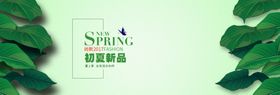 淡雅背景元素素材叶子绿叶