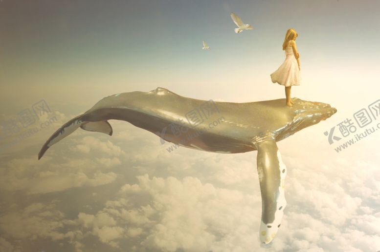 编号：40465910050819018613【酷图网】源文件下载-鲸鱼天空