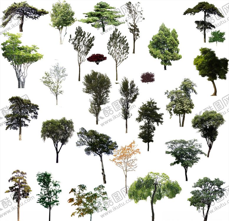 编号：43070710080033259051【酷图网】源文件下载-景观树素材