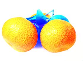 砂糖桔