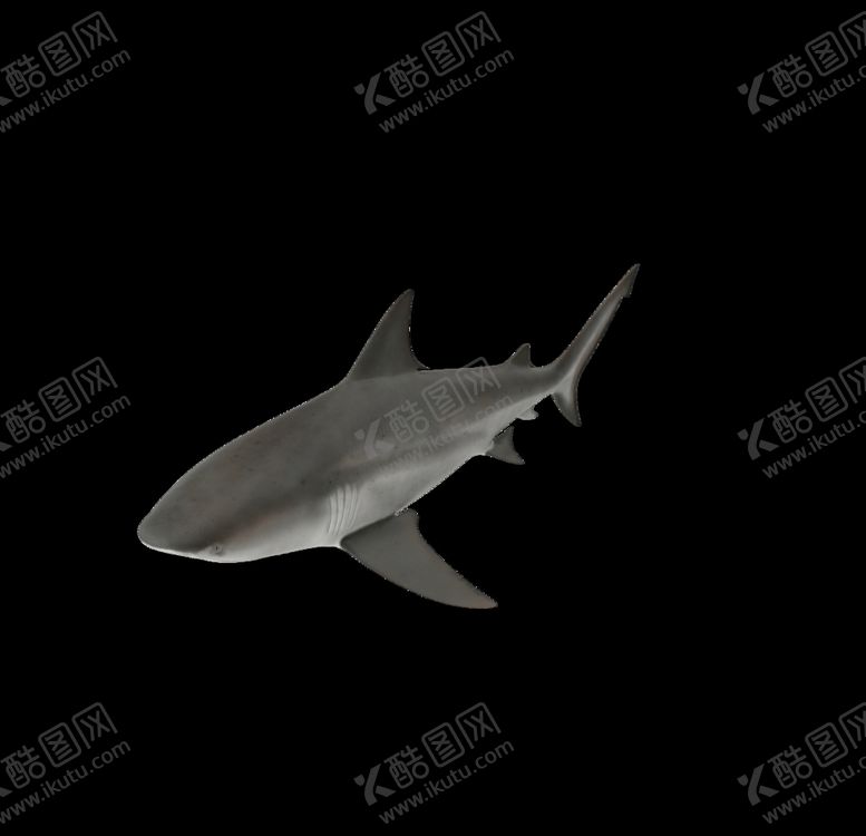 编号：87077209300319345968【酷图网】源文件下载-海洋生物