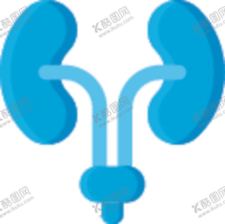 编号：57135009191715494050【酷图网】源文件下载-泌尿系统