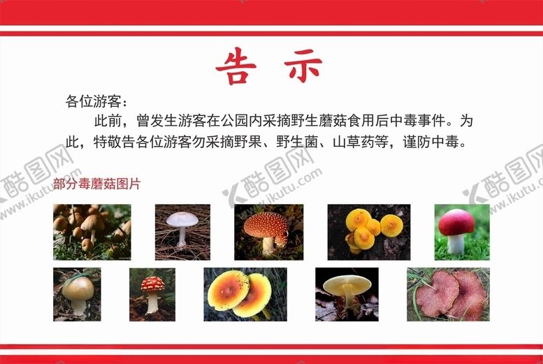 编号：24230209260326167656【酷图网】源文件下载-毒蘑菇告示