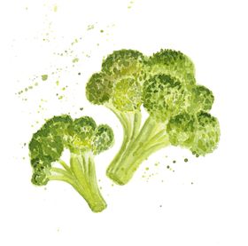 蔬菜