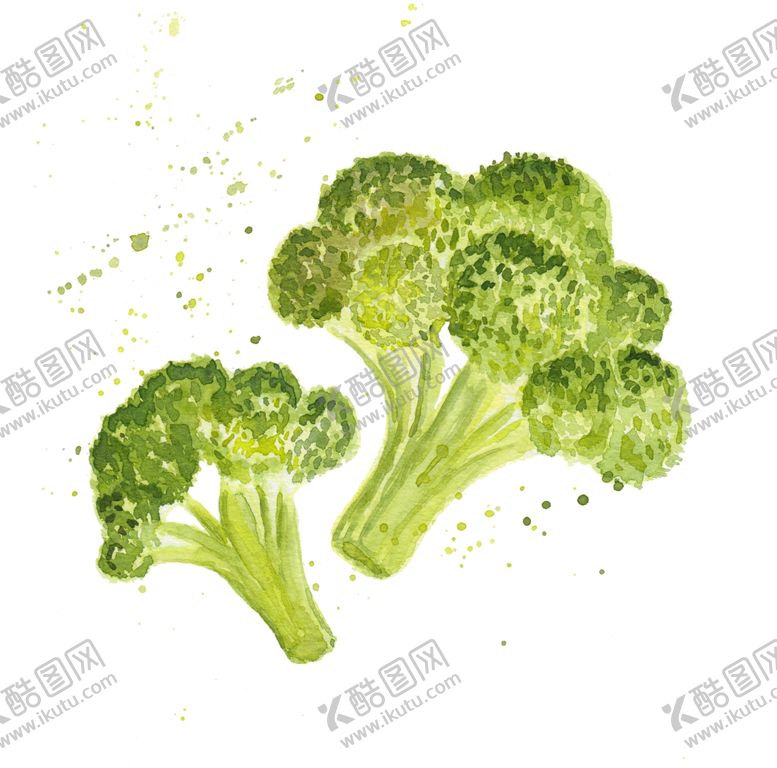 编号：51037410211324091292【酷图网】源文件下载-蔬菜