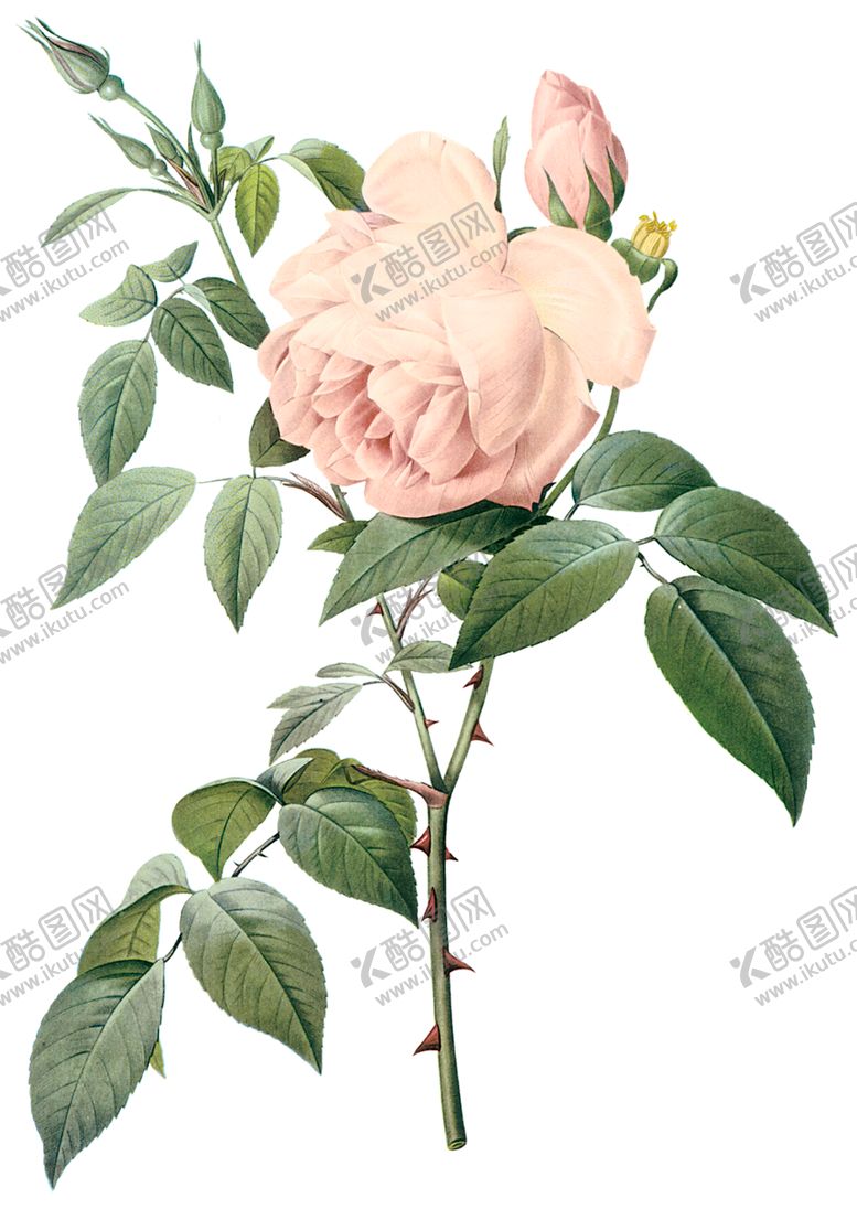 编号：20745607040350284248【酷图网】源文件下载-植物花卉油画装饰画