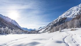 塔楼雪景