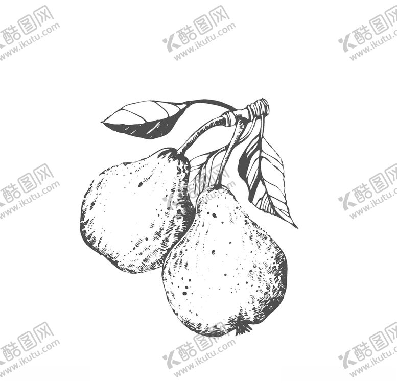 编号：39797809142300024378【酷图网】源文件下载-水果