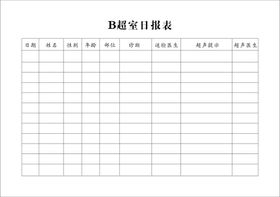 医院B超室日报表