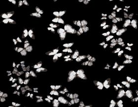 黑白花卉图案纹理背景