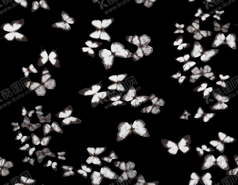 编号：52888904030558093926【酷图网】源文件下载-黑白花卉图案纹理背景