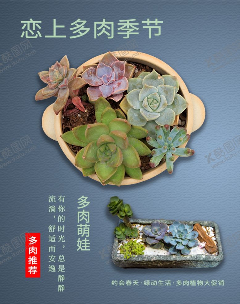 编号：52401806241234594933【酷图网】源文件下载-脸上多肉季节